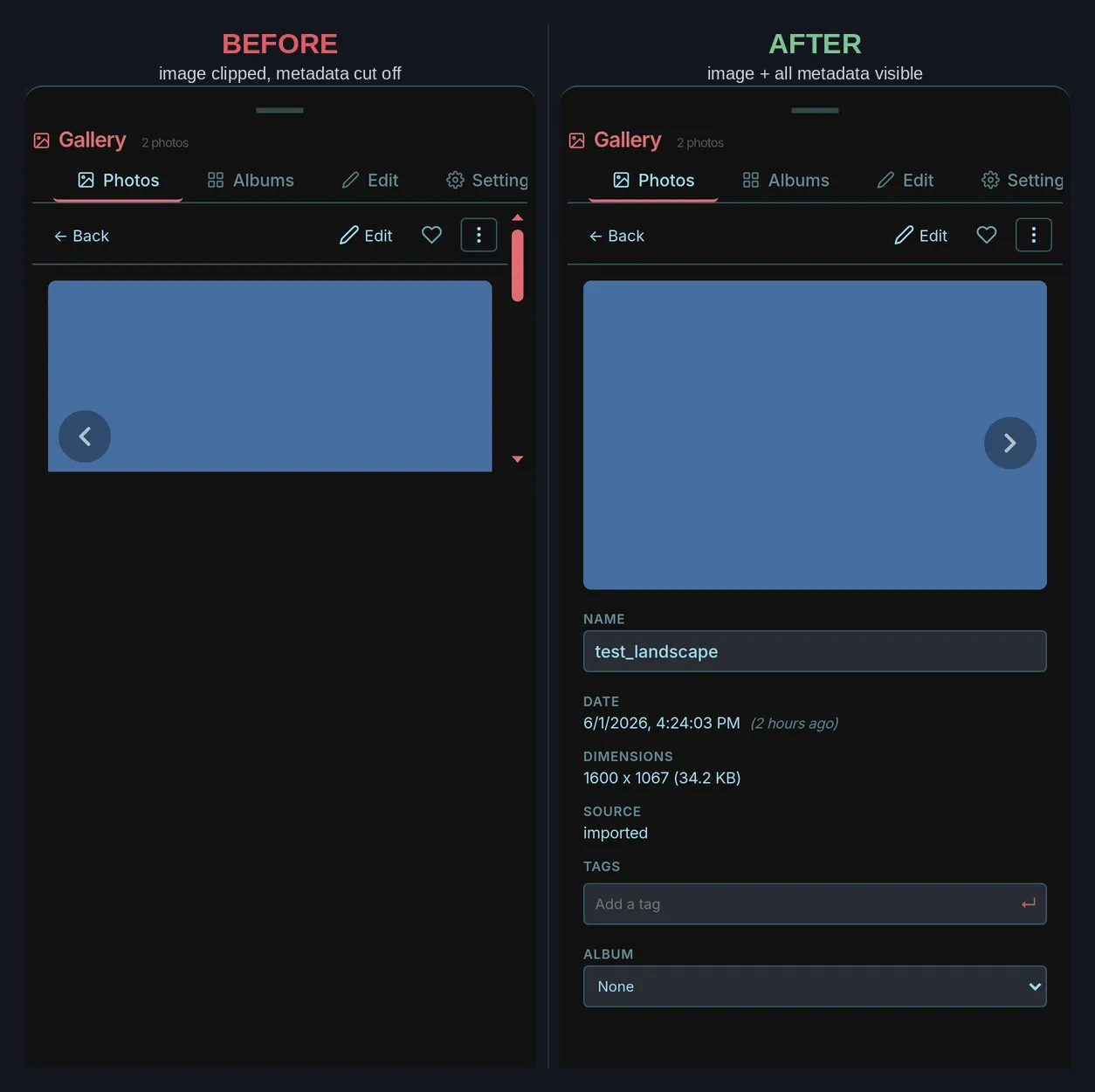 The Open Fork gallery app on a phone-sized screen